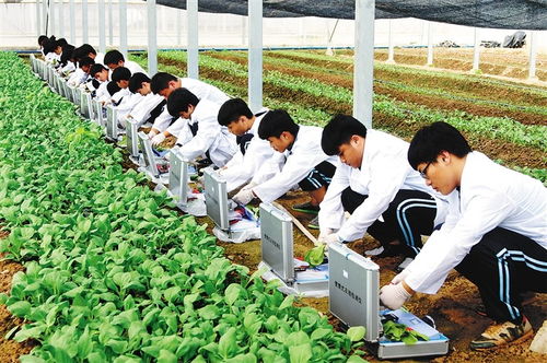 農(nóng)大溫情畢業(yè)禮 萬(wàn)斤水果贈(zèng)學(xué)子，暖心與專(zhuān)業(yè)技能并重