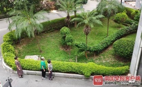 南寧綠化工人五年匠心打造動(dòng)物世界主題園林，綠色藝術(shù)驚艷全城
