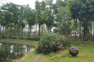 匠心筑綠場，活力映荊楚——2017年度湖北省體育場地設施優質工程巡禮